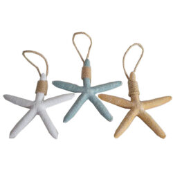 Starfish with string white