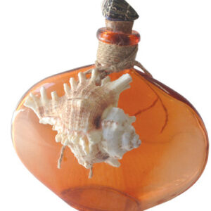 Oval Glass Bottle with Shell 17.5cm Orange