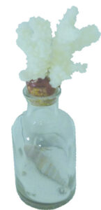 Glass Bottle with sand & Shells and Coral stopper 17cm clear