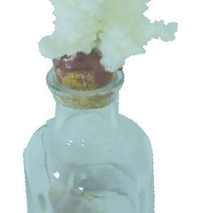 Glass Bottle with sand & Shells and Coral stopper 17cm clear