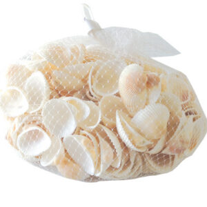 Bag of 3cm Scallop Shells 400G