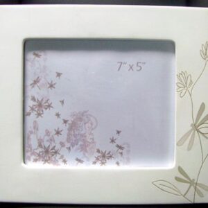 Photo Frame Dragonflys Landscape  5"x7"
