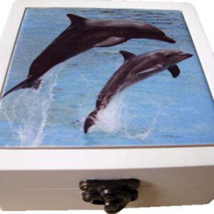 Ceramic Coasters Set of 4 - 113cm - Dolphin Watch