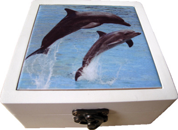 Ceramic Coasters Set of 4 - 113cm - Dolphin Watch