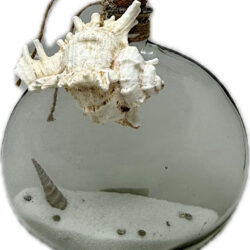 Narrow Oval Glass Bottle with Shell 20cm Clear