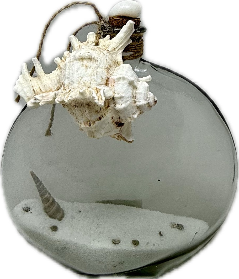 Narrow Oval Glass Bottle with Shell 20cm Clear