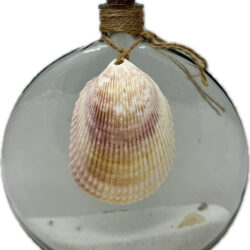 Narrow Oval Glass Bottle with Scallop Shell 20cm Clear - Coastal Designs