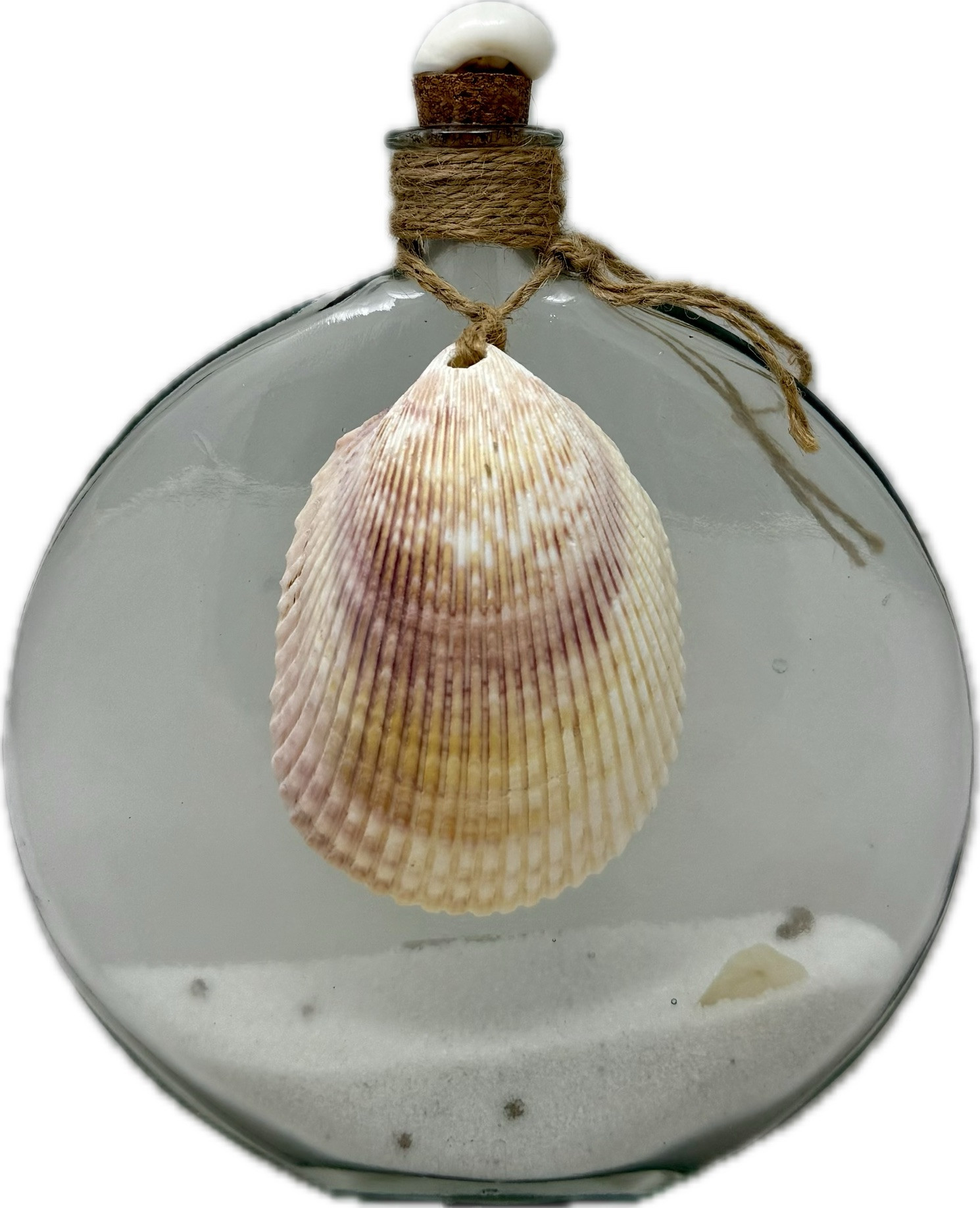 Narrow Oval Glass Bottle with Scallop Shell 20cm Clear - Coastal Designs