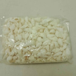 Coastal Theme - Shell Decorations