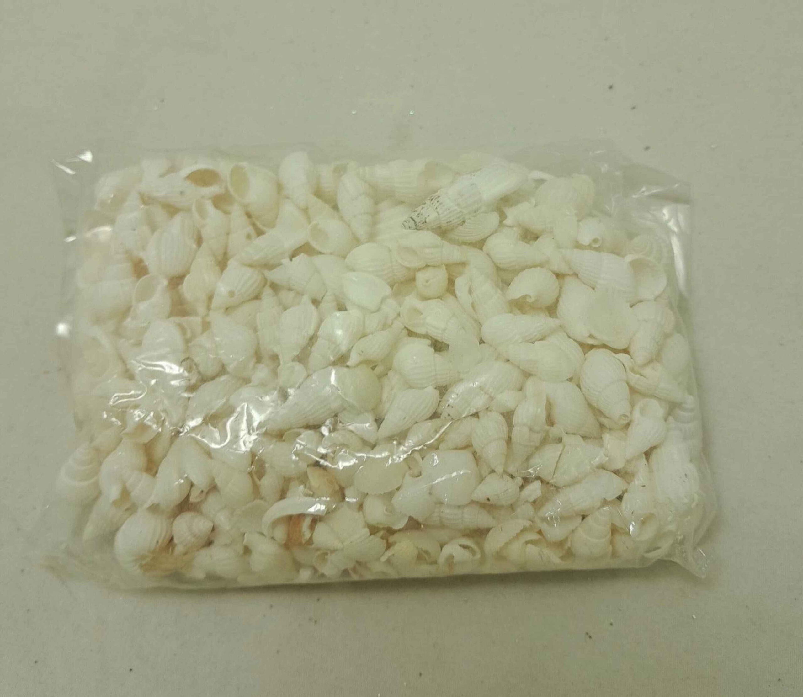 Coastal Theme - Shell Decorations