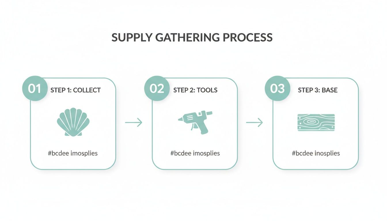 Visual guide to seashell wall art creation, depicting collection, tools, and base materials.